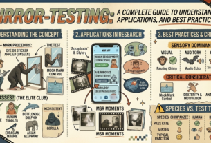 mirror-testing